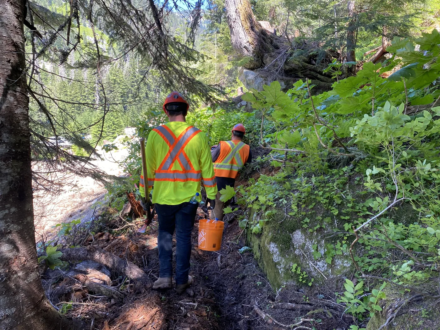 Midwest field crew in protective equipment walking through a forested work area