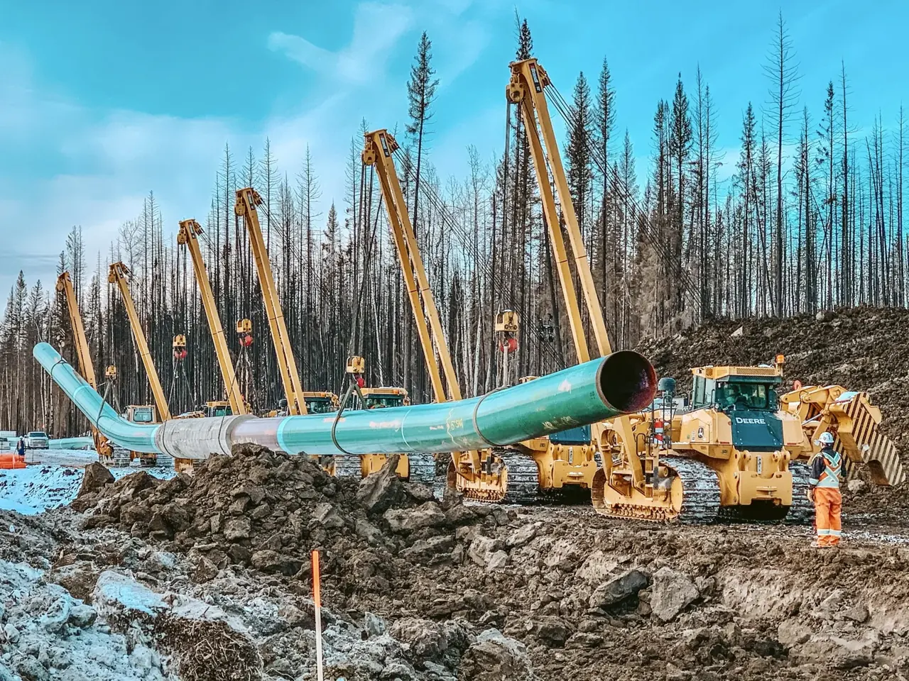 Midwest crews and a line of pipelayers lowering pipe in a forested construction corridor